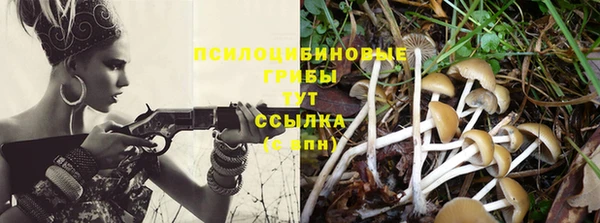 хмурый Богородицк
