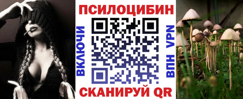 Галлюциногенные грибы Cubensis  купить закладку  Дмитров 