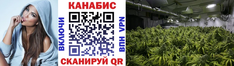 Конопля White Widow Дмитров